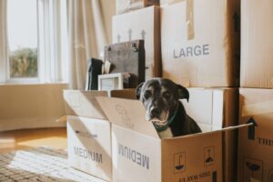 Read more about the article The Rate Race: Unveiling the Secrets Behind Competitive Mortgage Rates
